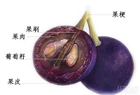 ѾƆΌϵĂf